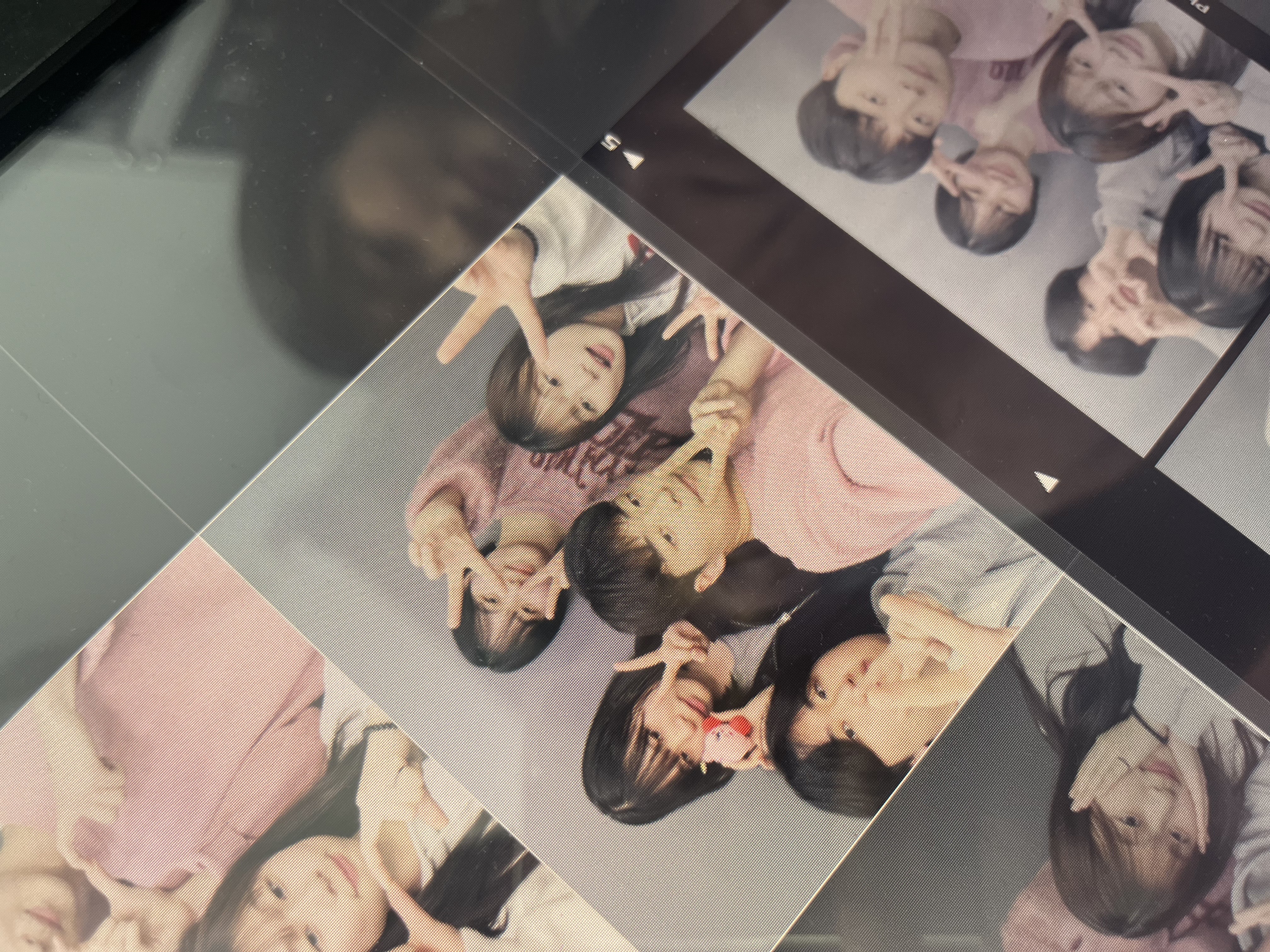 24년 사회학과 벚꽃모임 3번째 첨부파일 이미지