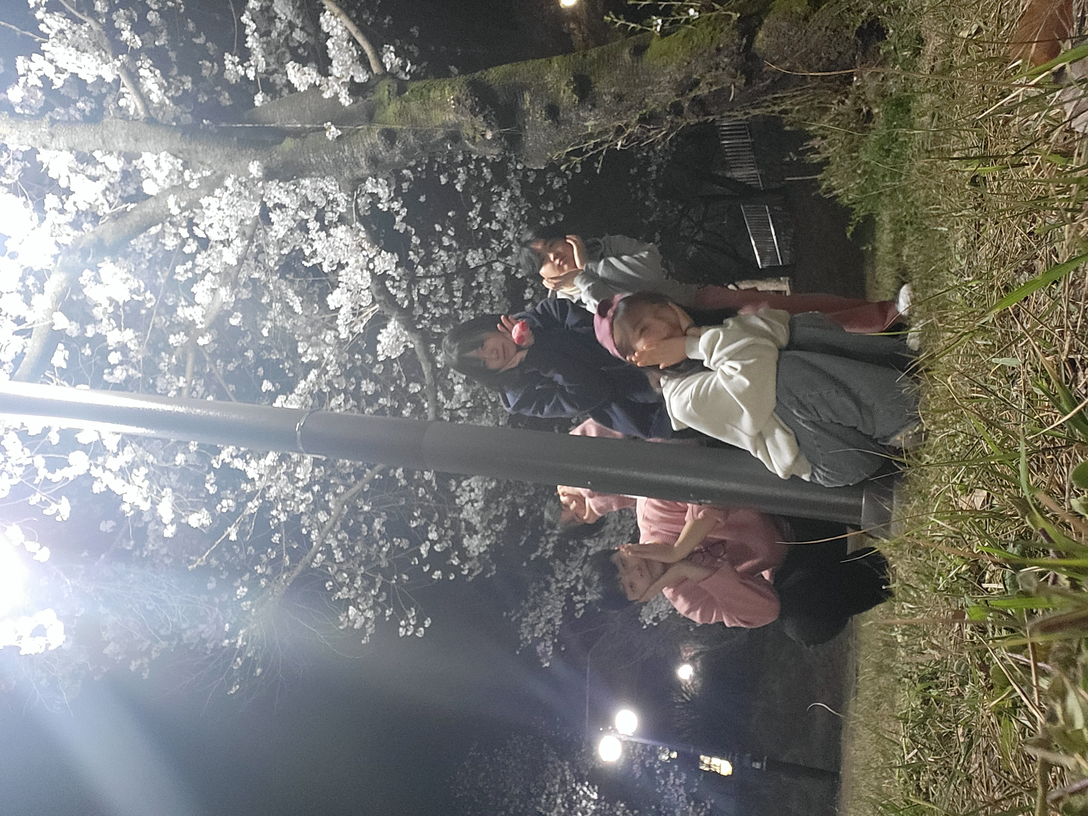 24년 사회학과 벚꽃모임 11번째 첨부파일 이미지